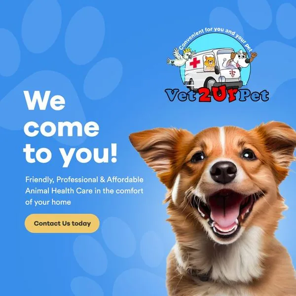 Vet2UrPet mobile vet ad creative by Balar Media Group