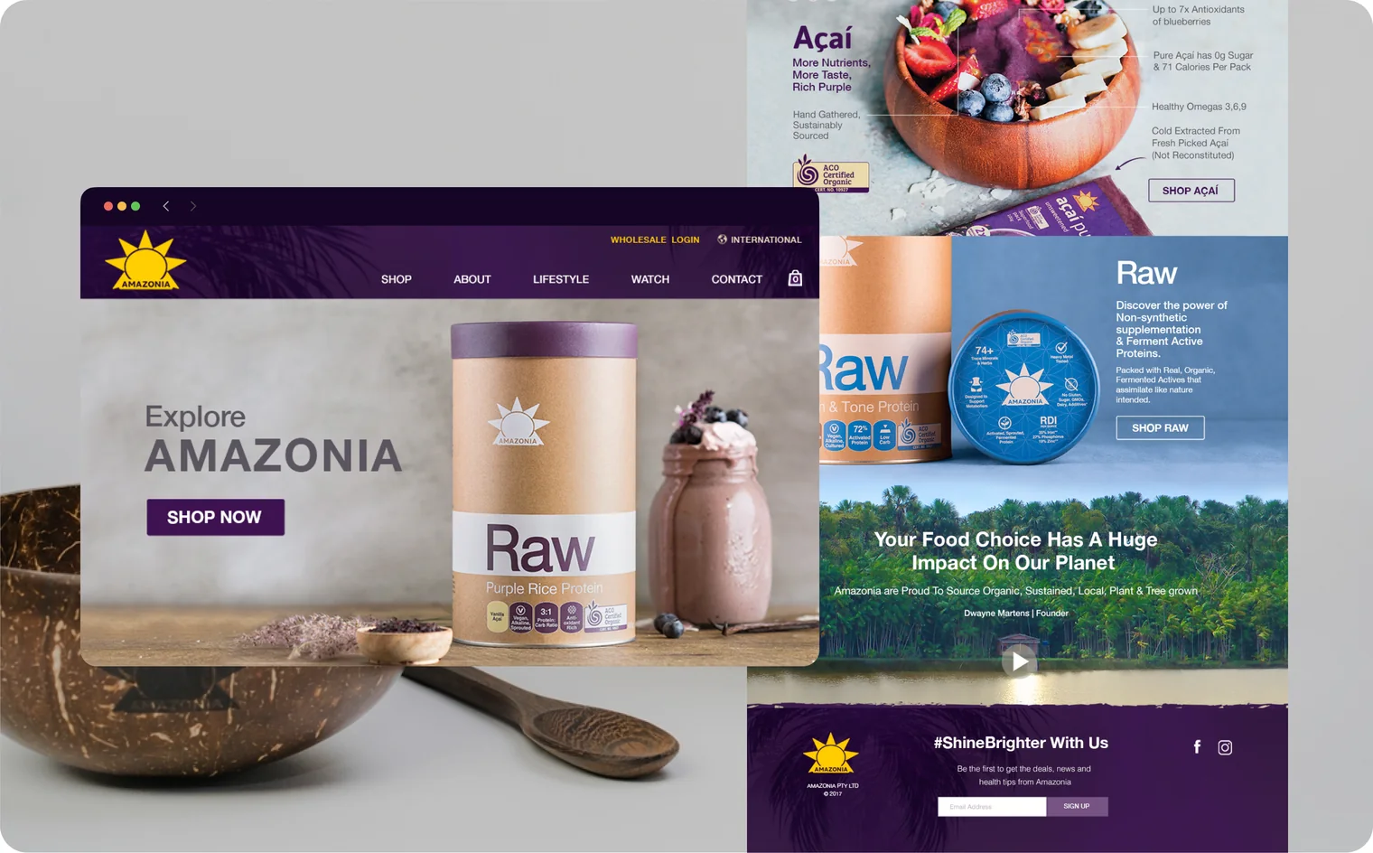 Amazonia website design by Balar Media Group (detail)
