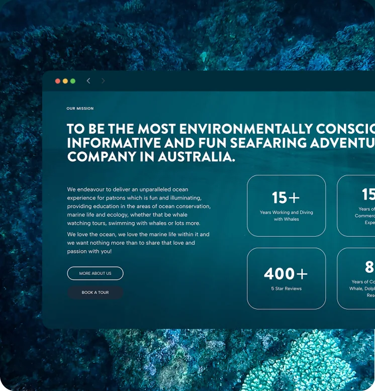 Cooly Eco Adventures website by Balar Media Group, design detail