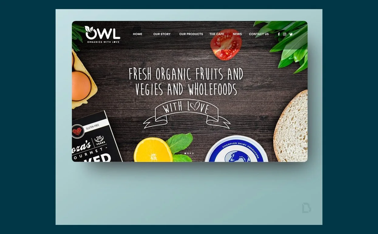 Owl Whole Foods website by Balar Media Group