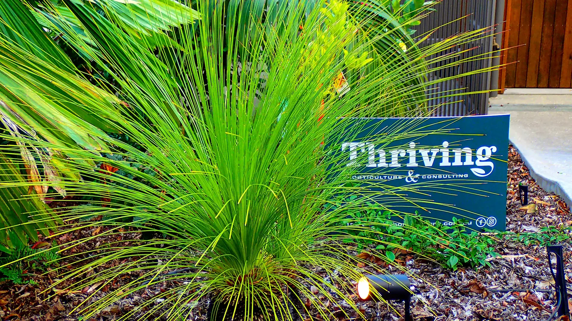 Thriving Horticulture website by Balar Media Group