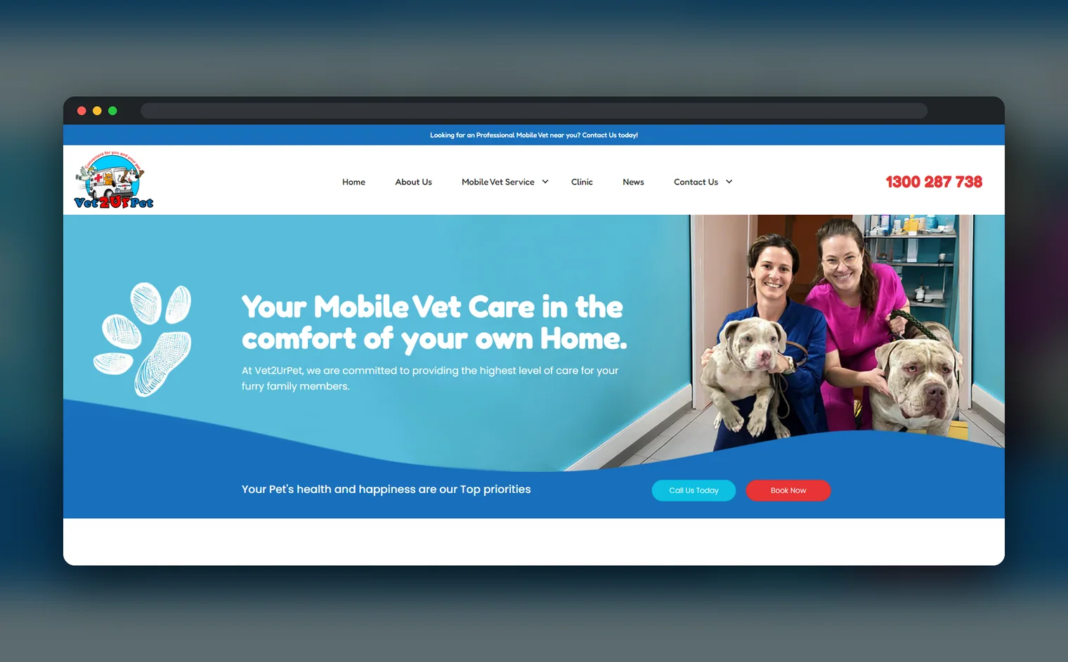 Vet2UrPet website design by Balar Media Group