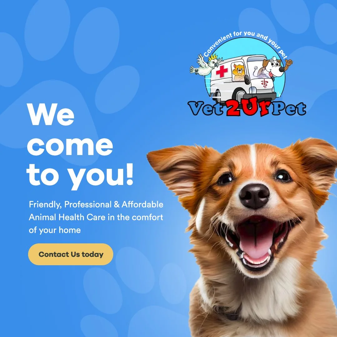 Vet2UrPet website by Balar Media Group