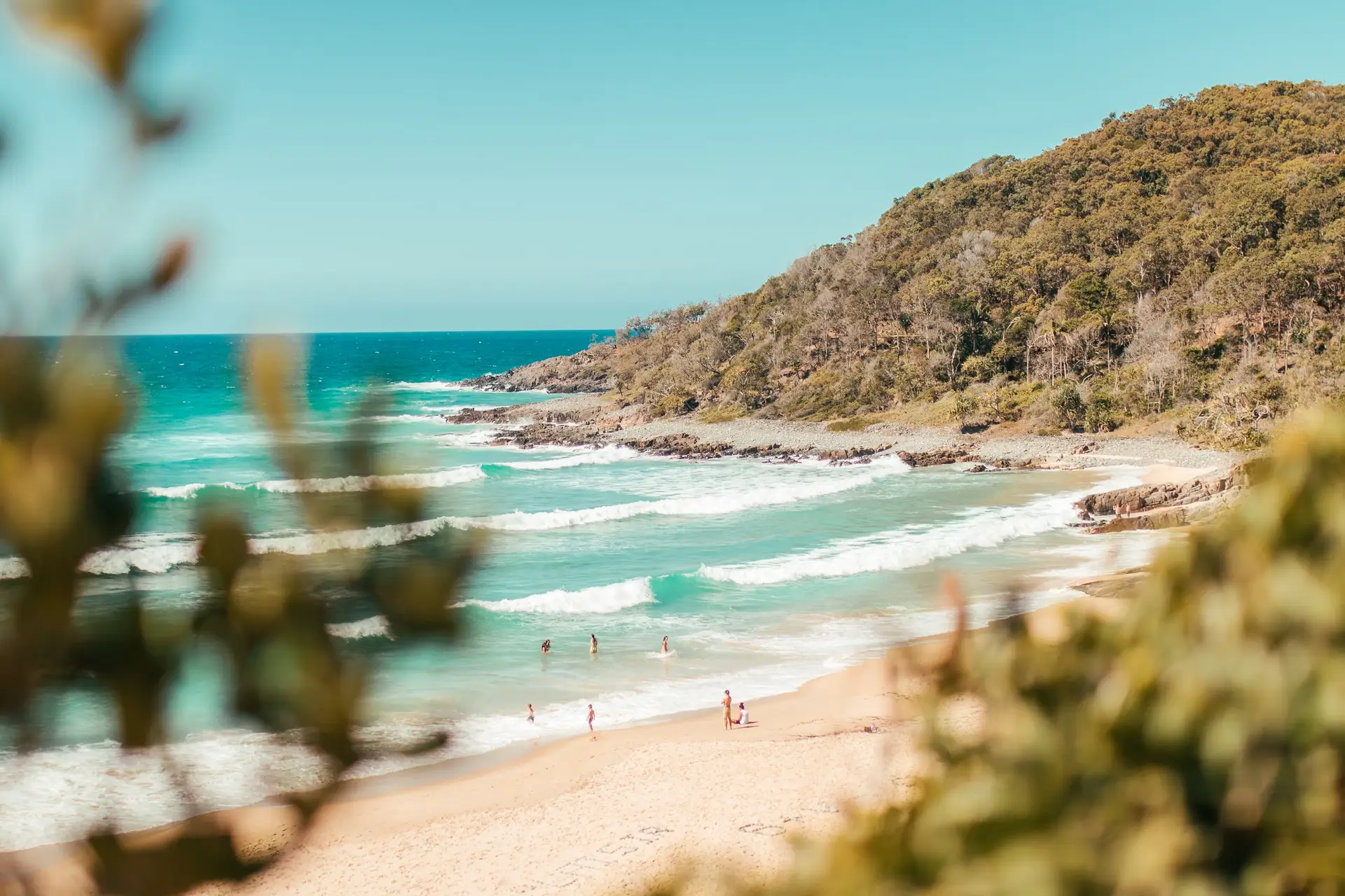 A beach and headland seen through coastal trees