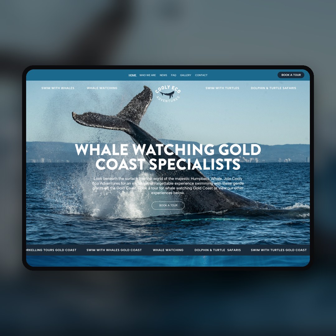 Cooly Eco Adventures website by Balar Media Group